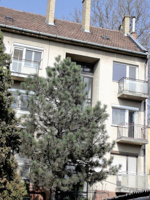Mars Ii. Apartman Apartment Seghedin Exterior foto